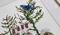 Image 2 of 'Irish Weeds' Mounted Print