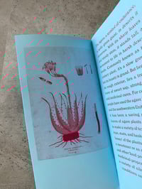 Image 2 of SACRED PLANTS Vol. 3