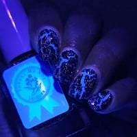 Image 17 of Ignite The Sky