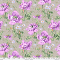 Image of Papaver Grey Shade 30cm