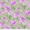 Image of Papaver Grey Shade 30cm
