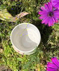 Image 3 of Hanami