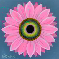 Joy Flower 30