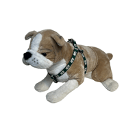 Image 1 of Maine Flag (Green) Step-In Harness 