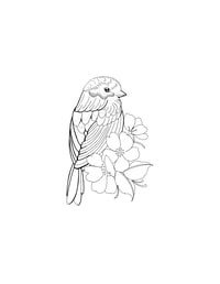 Image 2 of little bird