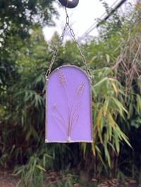 Image 1 of Rainbows and Wildflowers: Lavender