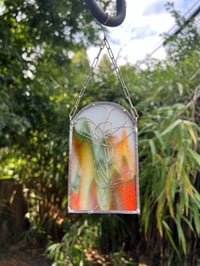 Image 1 of Rainbows and Wildflowers: Multi-color Poppy