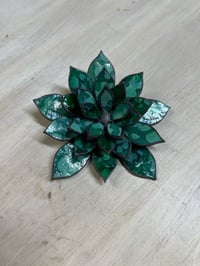 Image 1 of Chick &amp; Hen Succulent - Emerald