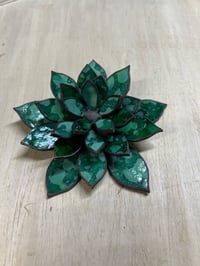 Image 2 of Chick &amp; Hen Succulent - Emerald