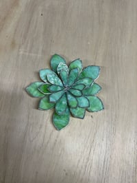 Image 2 of Chick &amp; Hen Succulent - Light Celery