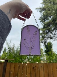 Image 2 of Rainbows and Wildflowers: Lavender