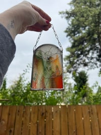 Image 2 of Rainbows and Wildflowers: Multi-color Poppy