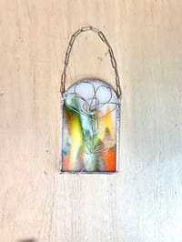 Image 3 of Rainbows and Wildflowers: Multi-color Poppy