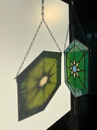 Image 4 of Emerald Dame