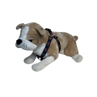 Image 1 of Lobster Red Step-In Harness 