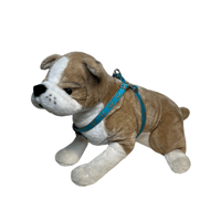 Image 2 of Alligator on Turquoise Step In Dog Harness