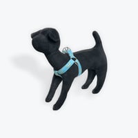 Image 3 of Alligator on Turquoise Step In Dog Harness