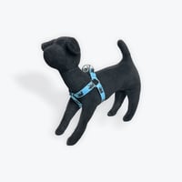 Image 3 of Bear Step-In Dog Harness