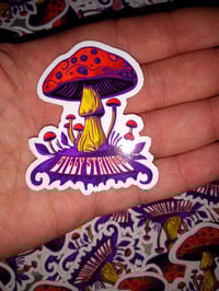 Image 3 of Billy Strings Magic Mushroom Stickers (2 per order!)