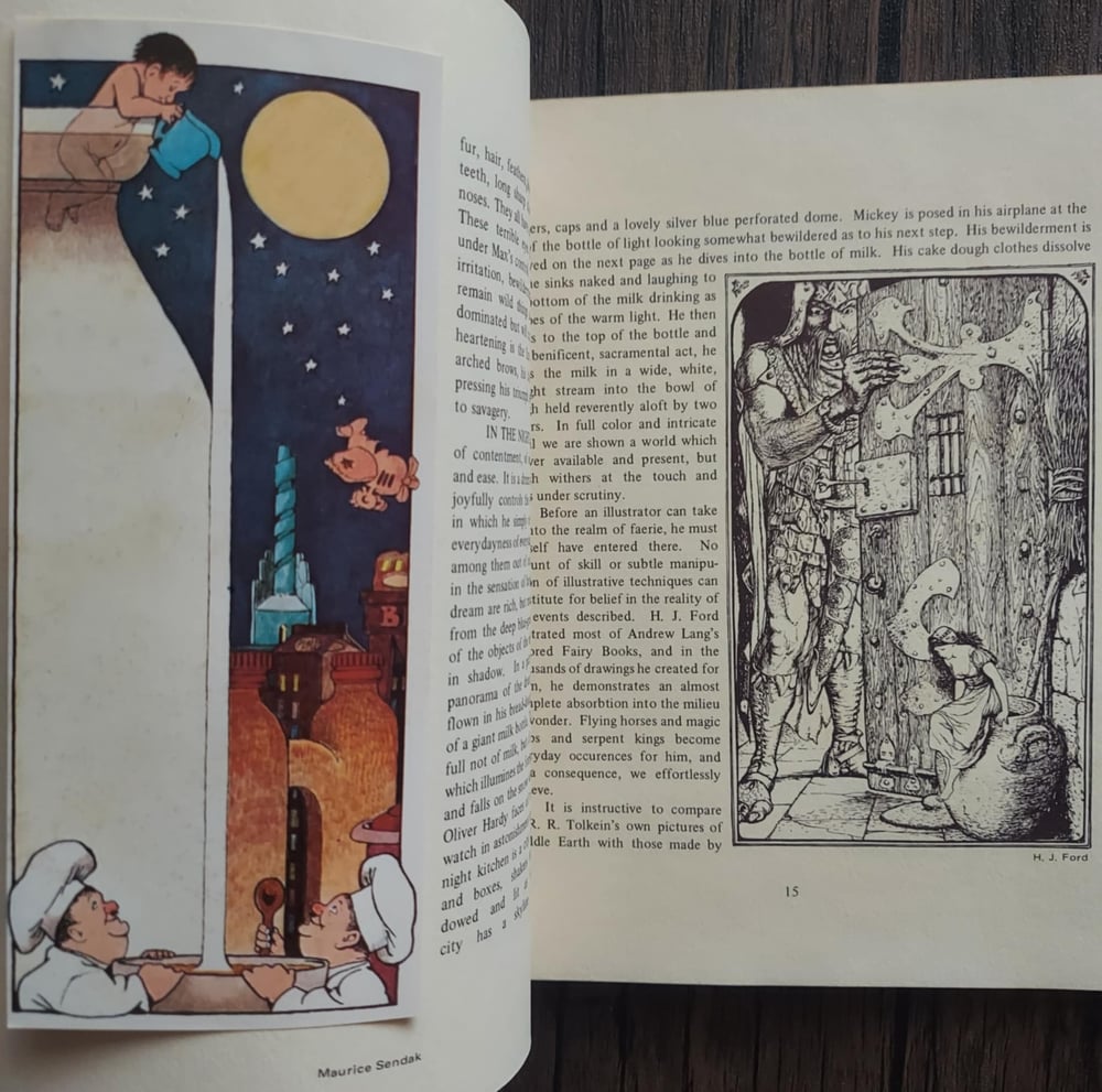 All Mirrors Are Magic Mirrors: Reflections on Pictures Found in Children’s Books