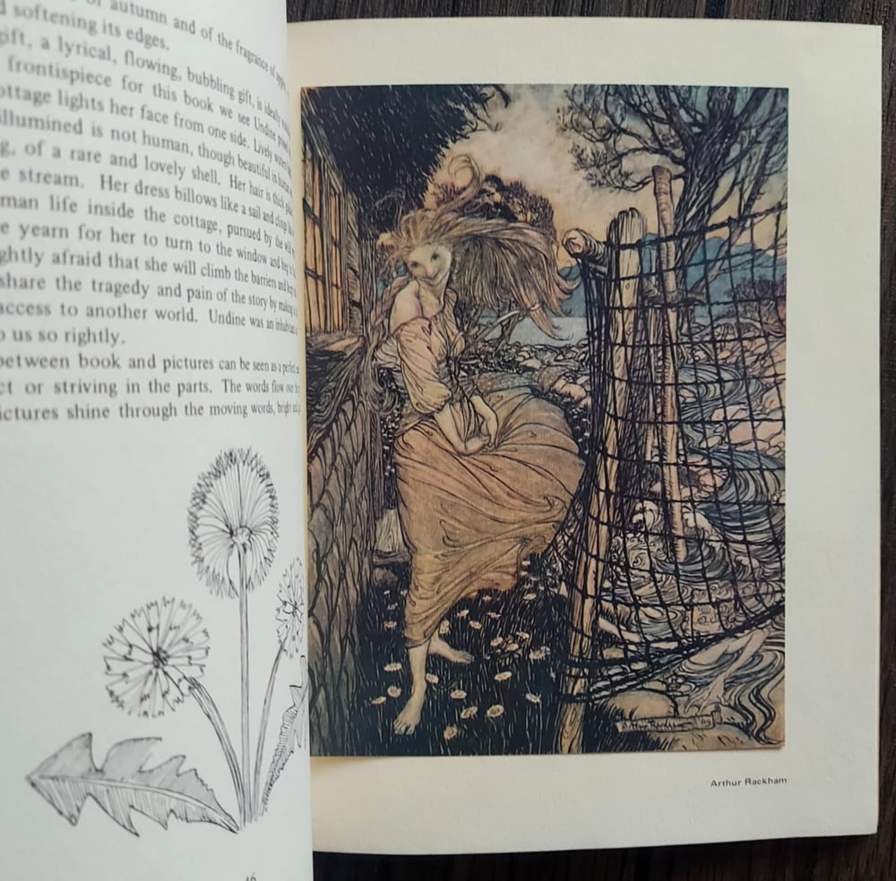 All Mirrors Are Magic Mirrors: Reflections on Pictures Found in Children’s Books