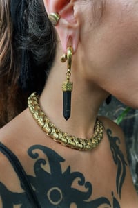 Image 1 of Shunguite Earweights