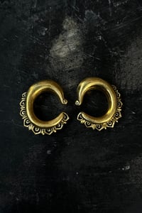 Image 1 of Taksaka Earweights