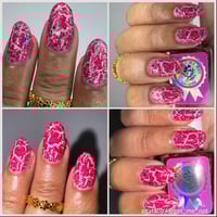 Image 22 of Summer Salute