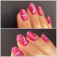 Image 15 of Summer Salute