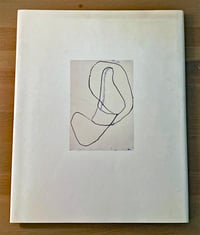 Image 2 of Brice Marden Exhibition Cataog. Matthew Marks Gallery. 1995. Essay by David Rimanelli. 