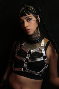 Image 1 of Bahar Harness