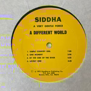 Image of Siddha "A Very Gentle Force - This World/A Different World"