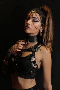 Image 1 of Anaconda Choker