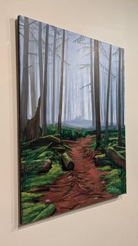 Image 3 of Just Beyond The Ferns