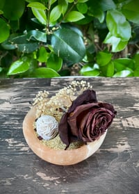 Gem Garden: Pink Selenite, Garnet, Desert Rose