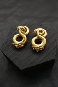 Image 1 of Ganesh Earweights 6mm