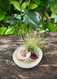 Gem Garden: Pink Amethyst & Fluorite