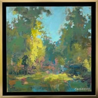 Shady Spot