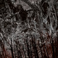 Image of Nekrasov / Ondo (Split-LP, Peasant Magik)