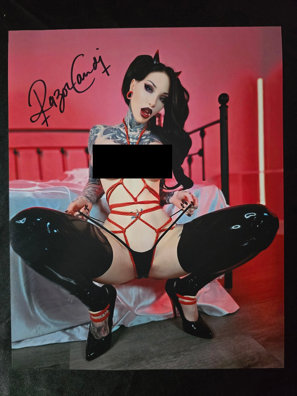 SHIBARI 8x10inch signed NSFW print
