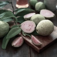 Pink guava 