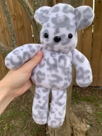 Dottie the Snow Leopard