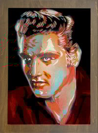 Velvet Elvis 