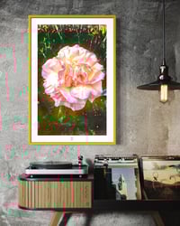 Image 4 of BIG BEAUTIFUL ROSE (36X24)