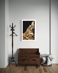 Image 2 of NATURE'S ART (36X24)