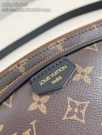 Image 4 of LV Slim Bumbag