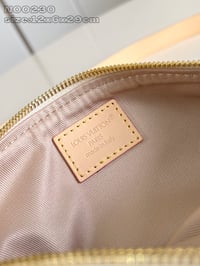 Image 17 of LV Slim Bumbag