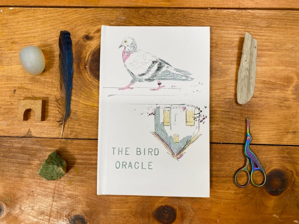 Image of The Bird Oracle