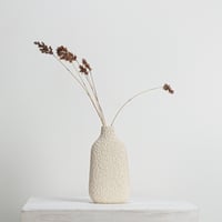 Image 4 of momo