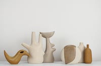 Image 7 of noma 